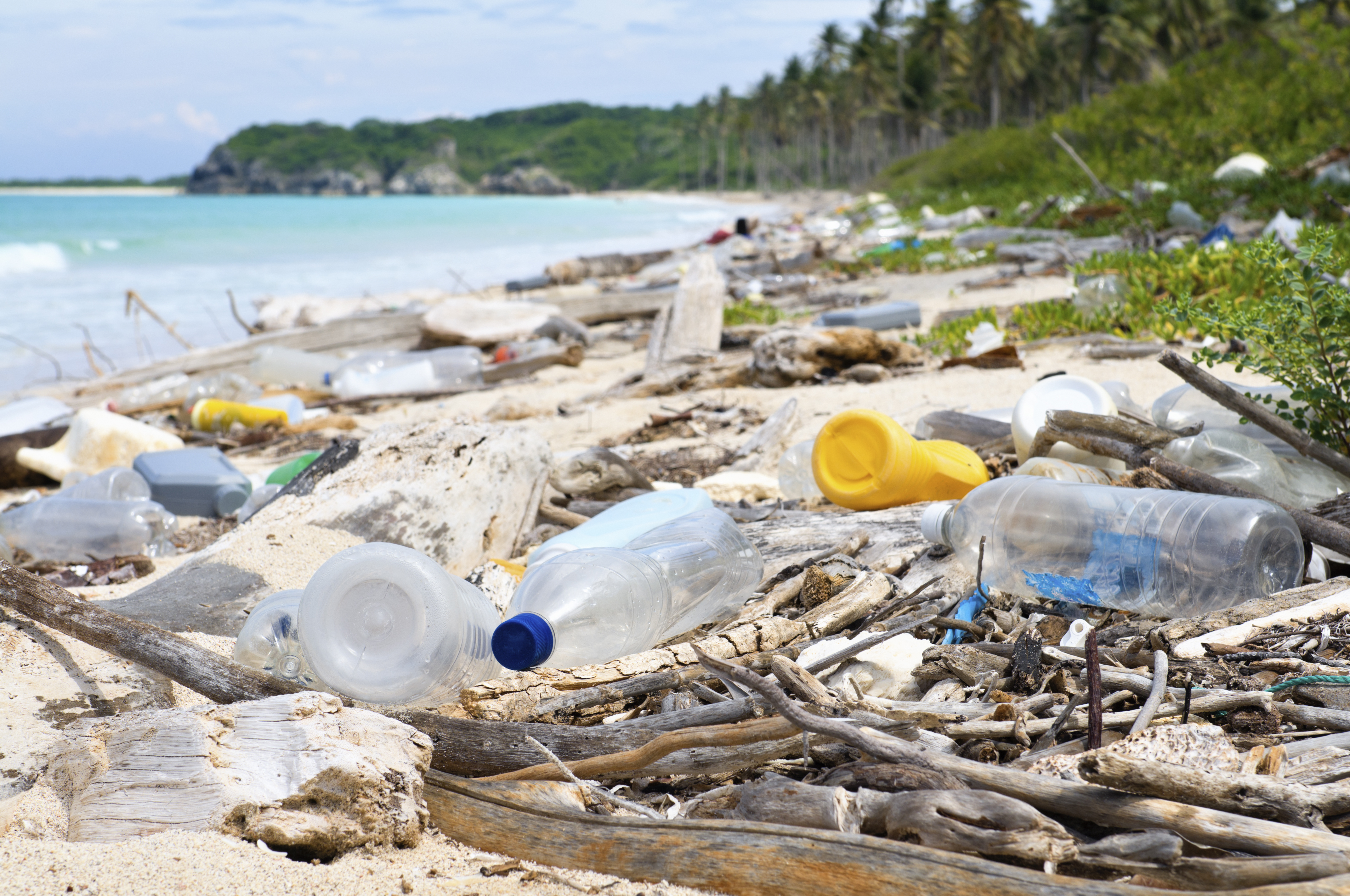 Год экологии отходы. Пластиковые бутылки в природе. Пластиковое загрязнение. Загрязнение воды пластиком.